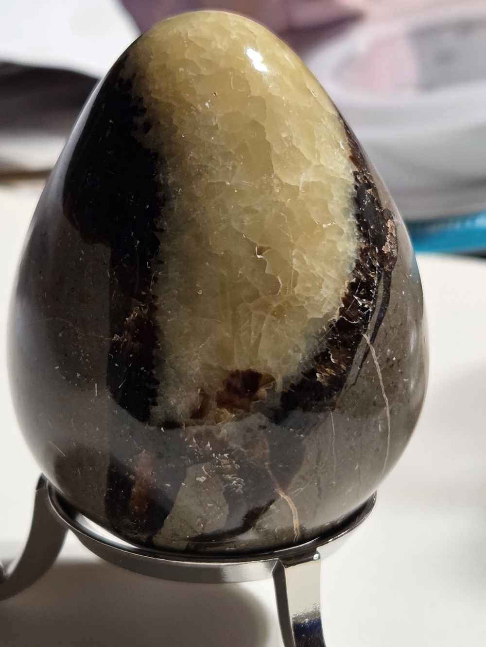 Polished Septarian Calcite "Dragon Stone" Egg - Picture 11 of 14